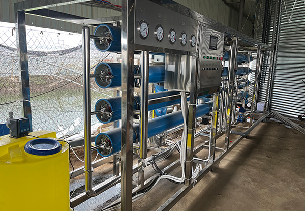 1762480279870027.jpg 画板 3.jpg